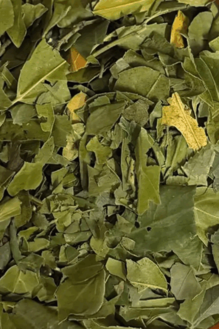 Sidr-Blätter (100g)