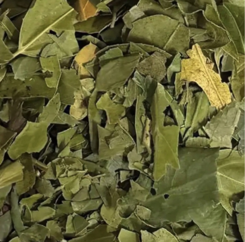 Sidr-Blätter (100g)